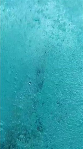 Jumping off diving board