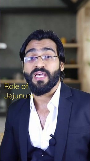 What is jejunum?
