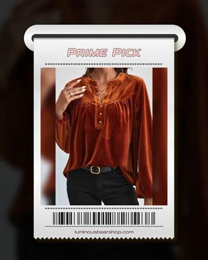 Notched Long Sleeve Velvet Top