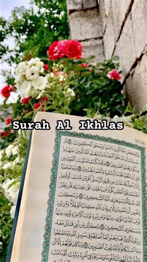 Surah Al Ikhlas #quran #urduquran #qurantranslation #ikhlas #alikhlas #surahalikhlas#quranrecitation