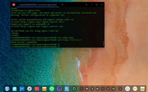 【教程】 如何在docker环境下的纯净ubuntu系统中安装最新版nginx