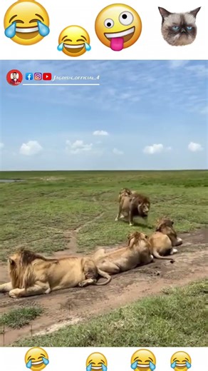 હેપી ખીહેર