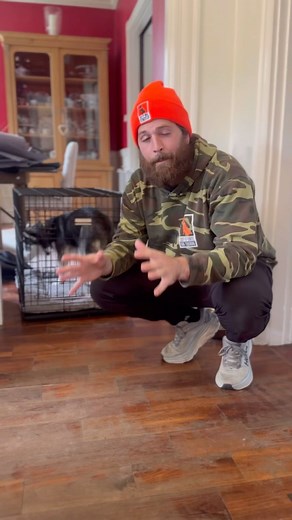 45K views · 1.3K reactions | Do you know what’s better than breaking...