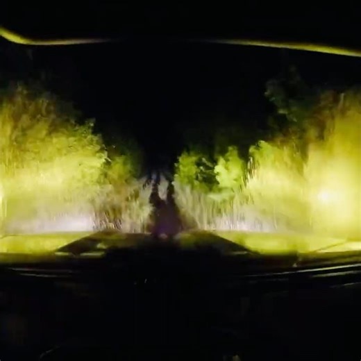 2019 Ford Ranger Offroad on flooded trail at night #fordranger #offroad #automobile #fordperformance