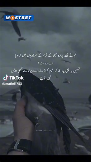 TikTok · Mohammed Kashif Ali