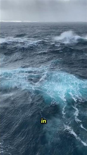 From Airplane to the Abyss 😲 #space #earth #deepocean