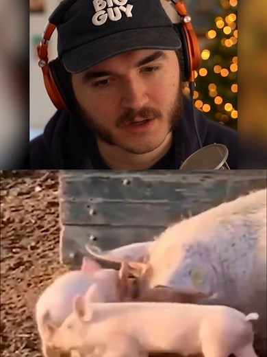 Schlatt Reacts to Wholesome TikTok Cooking Memes