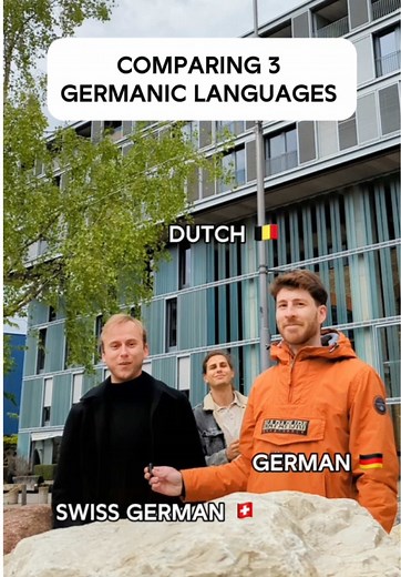 Comparing German, Dutch, and Swiss German Languages