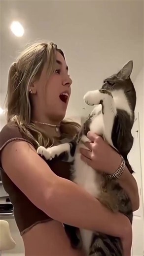Funniest CATs Clips [Vol.178]. \\😅/ Die Lustigsten Katzen Videos (2026).