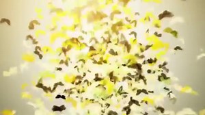 Stand up Comedy by Comedian #Filfilu @ Gumma Award 2015[VERY FUNNY-MUST WATCH] Visit www.Habeshacomedy.com for more. | Habesha Comedy