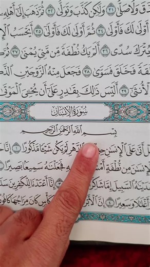 Surah Al-Insan 📖 🕊 #🖤 #quran #fyp #fypシ゚viral #foryoupage
