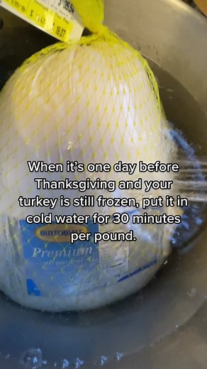Thawing a Super Frozen Turkey: Quick Tips for Thanksgiving Dinner