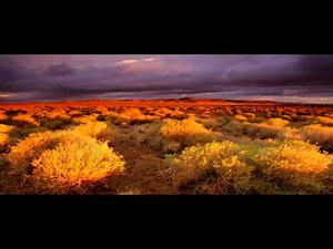 Harry Gregson-Williams - Jake Lonergan