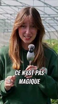 Le CBD pour chiens et chats ?! 😺 Clarisse t’explique tout 🐶