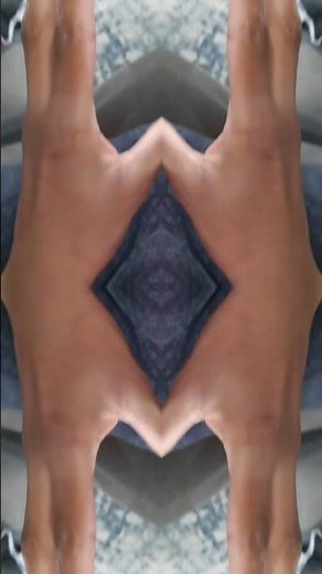 peg * cat theme song loop video