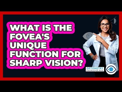What is the fovea's unique function for sharp vision?