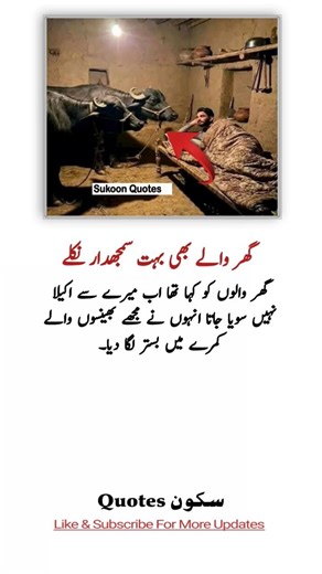 "4 Life-Changing Quotes That Will Inspire & Motivate You! #sukoonquotes #lifelessons