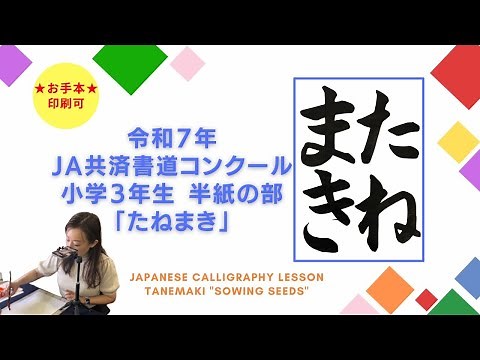 【たねまき】令和７年 JA共済書道コンクール 小学３年生 半紙の部 琴雪書道教室 琴雪 解説付き 動画 夏休み JA Japanese calligraphy lesson Kinsetsu