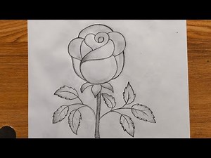 Easy Rose drawing step by step | pencil drawing tutorial