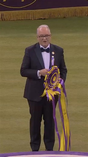 7M views · 251K reactions | History is made: Penny the Doberman Pinscher is the 2026 Best in Show winner at the 150th Westminster Kennel Club Dog Show.  A history-defining moment at Madison Square Garden. #WestminsterDogShow #WKC150 | Westminster Kennel Club Dog Show | Facebook