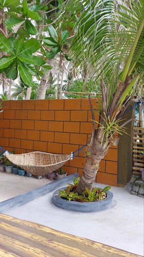 10K views · 69 reactions | Punta Tierra Blanca Beach Resort, located at the heart of Bondoc Peninsula Catanauan, Quezon Province | Punta Tierra Blanca Beach Resort | Facebook