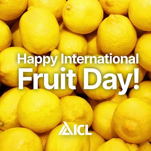 🍋 Join us in celebrating International Fruit Day, a global tribute to the wonders of fruit! 🍋 This year, the spotlight shines on the lemon as the chosen fruit of 2023. Beyond its tangy and acidic taste, lemons are powerhouses of vitamin C and antioxidants, promoting disease prevention and overall well-being. 🍋 So today, let's take a moment to indulge in a piece of your favorite fruit, lemon, or otherwise! Savor its flavors, and appreciate the hard work of the dedicated fruit growers who, supp