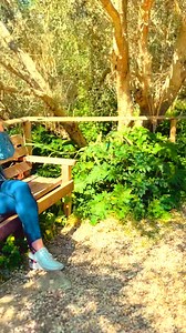 🔵😍San Pawl il-Baħar huwa l-aktar popolat f’Malta - @regjuntramuntana #stradarjali #sanpawl | Strada Rjali