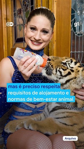 Polícia abate tigre que estava à solta perto da cidade de Leipzig, na Alemanha #shorts #g1