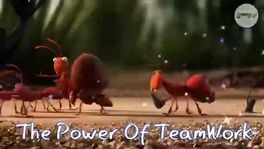 The Power Of Team Work
