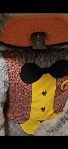 My Pizza Time Theatre Chuck E. Cheese Animatronic!