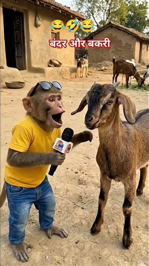 Monkey and Goat ki meeting#funny#comedy#entertainmentnews#funny