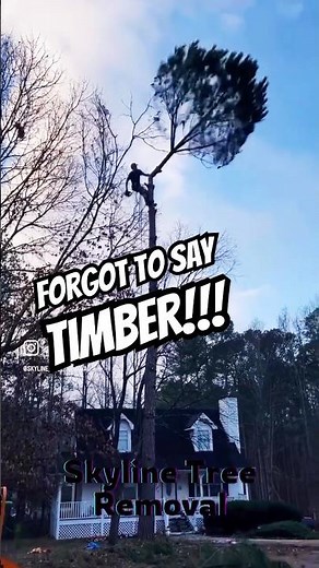 This tree had to go!!!