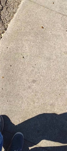 Thanks guys they're the best | Pauly Sandoval