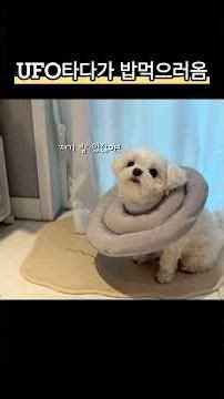 Let's fill our stomachs before going to the alien planet.