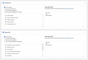 Theme & Plugin Files Addon