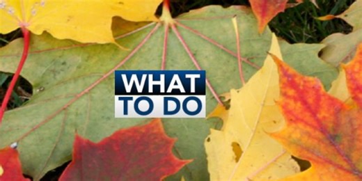 What To Do: Saturday, November 22