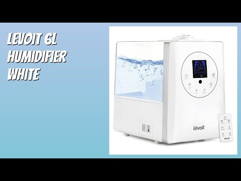 REVIEW (2025): LEVOIT 6L Humidifier White. Features.