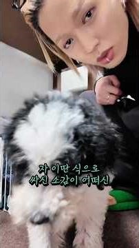 그만 싸세요 #개선생아 #버니두들 #브이로그 #한경희생활과학 #습식청소기