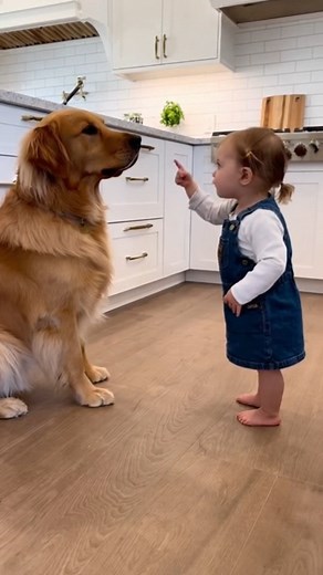 1.9M views · 43K reactions | Tiny "Boss Baby" Has a Serious Argument with Her Giant  藍藍 Funny Toddler 'Lectures' Her Patient Dog (Hilarious Conversation)   Want to create viral videos like mine that hit 15M views and gained 85K followers in a month? Get my 10 secret prompts now! Link in bio. #babyanddog #dogandbaby #doberman #baby #toddler #funny #cute #lol #gentlegiant #dobermanpinscher #dogsofinstagram | Abdullah Megdad | Facebook