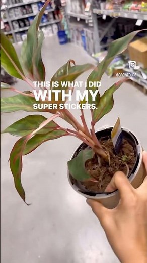What I Did With My YouTube Super Stickers #youtubeshorts #superstickers #tips