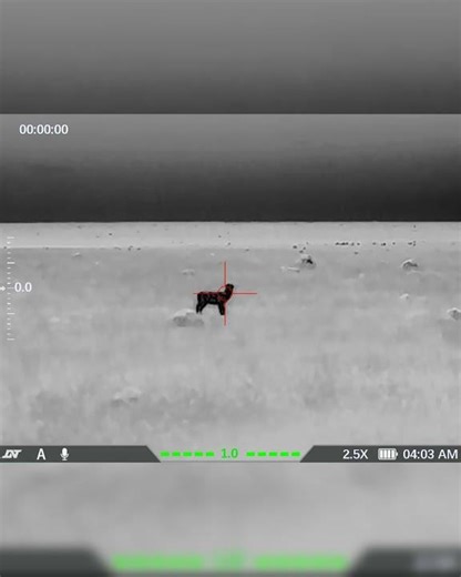 Springbok Headshots | Pest Control on the Farm