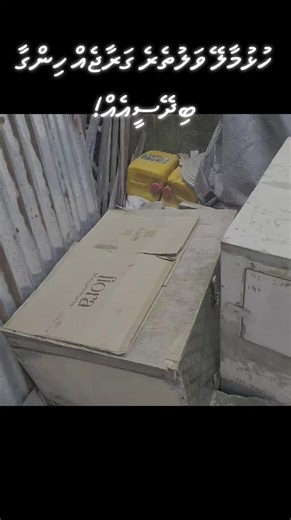 Amir Saleem (@amir_salym)’s videos with original sound - Amir Saleem