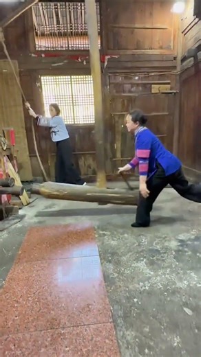 #Traditional wood-based oil extraction method#Intangible cultural heritage#My rural life#M