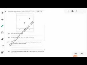 Chromatography: chemistry 2020 paper 2 final