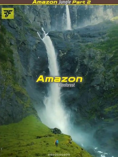 This is The Jungle of Amazon 😱