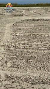 It’s a Treasure Island Beach Thing! 🌴 Our beaches aren’t just beautiful—they’re pristine, and that’s no accident. Each day, our beaches get a little TLC with beach raking. What does that mean for you?�✔️ Clean, litter-free fun�✔️ Fewer pests crashing your beach day�✔️ Smooth, soft sand (perfect for barefoot strolls & sandcastles!)�✔️ No hidden holes or hazards—just pure paradise So go ahead, dig your toes in the sand and soak up the sun and fun. | The City of Treasure Island, Florida