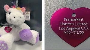 California girl licensed to own unicorn — if she finds one