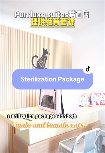 Say goodbye to the stress of post-surgery care! 🐱✨ Purrluxe Suites has launched all-in-one sterilization packages that include door-to-door transport and 24/7 professional recovery care. Your fur baby is in safe hands while they heal in luxury 🐾❤️ 📍462 MacPherson Road #sg #PetServices #CatHotel #CatParents #cat