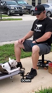 18K views · 335 reactions | How to Train puppy down with easy steps | Mr David - Dog Lover | Facebook