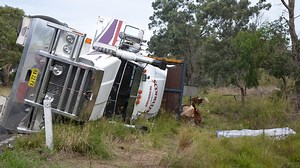 Taking stock of rollovers